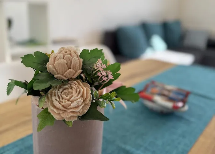 Daire Center Meliora